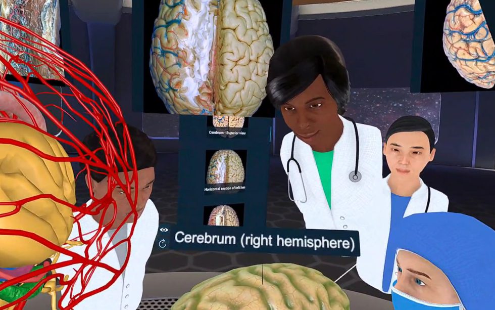 3D Organon XR – Immersives Anatomietraining (VR/AR/MR) / StellDirVor